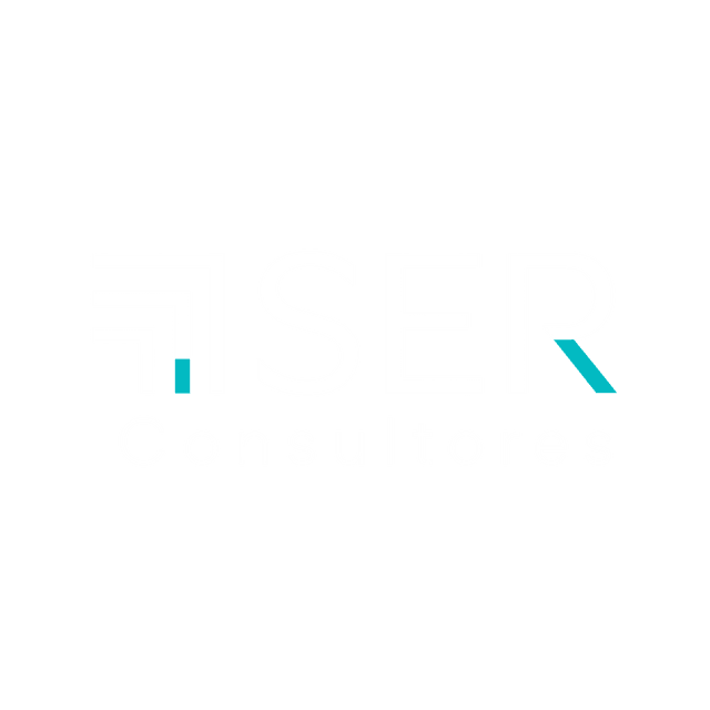 SER Consultores Group
